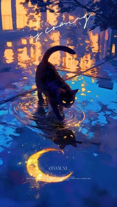 a cat standing in the water next to a crescent moon