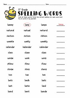 spelling words worksheet for kids to practice spelling the word's in english