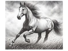 a black and white drawing of a horse running in the grass with clouds behind it