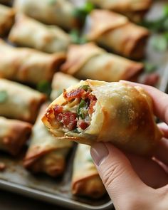 a hand holding a piece of vegetable spring rolls