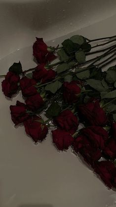 red roses are laying on the floor in a bathtub with water running down it