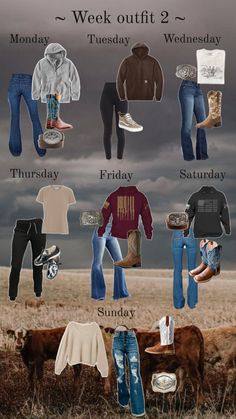 a bunch of different types of clothes and shoes on a field with clouds in the background