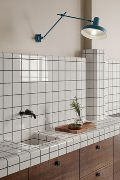 a kitchen with two sinks and a green plant on the counter top in front of it