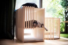 a cat laying on top of a wooden shelf