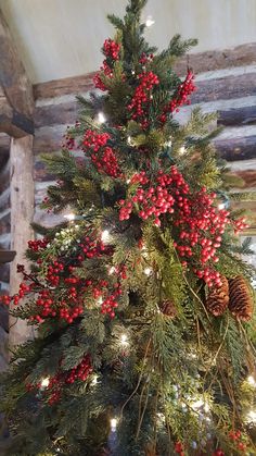 a christmas tree with red berries and pine cones