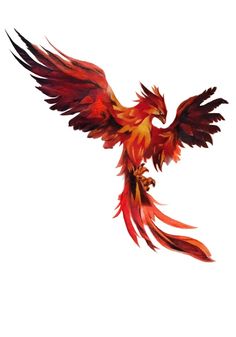 a red and yellow bird flying through the air