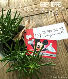 a potted plant with a mickey mouse tag attached to it's side on a wooden table