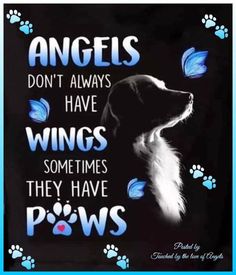 a black and white dog with blue paw prints on it's side, says angels don't always have wings sometimes they have paws