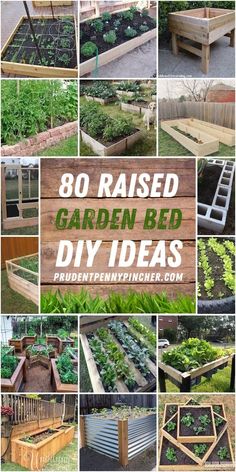 the best diy raised garden beds for small gardens and backyards with text overlay that reads,'80 best diy raised garden beds '