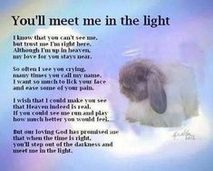 a poem written in the language of a rabbit