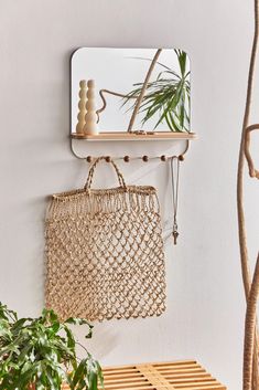 there is a plant and a mirror on the wall next to a shelf with some plants