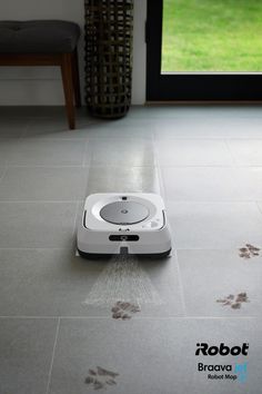 a robotic vacuum is on the floor in front of a dog paw print rug and window