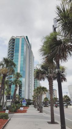 palm trees line the sidewalk in front of an office building