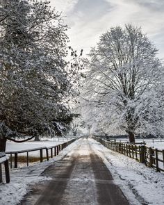 the road is covered in snow and has trees on both sides, along with a wooden fence