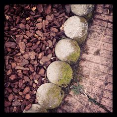 some rocks and moss growing on the ground in front of a brick walkway with leaves