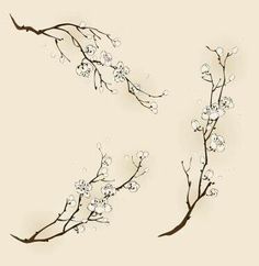 two branches with white flowers on them against a beige background