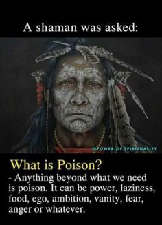 What Is Poison, American Quotes, Native American Wisdom, Native American Quotes, Historical Facts, Native American History, Intj, History Facts