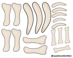 the bones are cut out and ready to be used for making an animal bone model