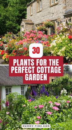 flowers and plants in front of a house with text overlay that reads 30 plants for the perfect cottage garden