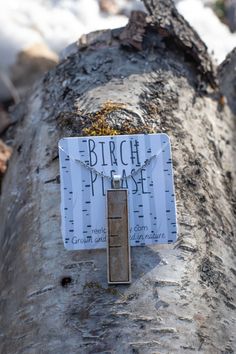 a close up of a tree with a sign attached to it that says birch please