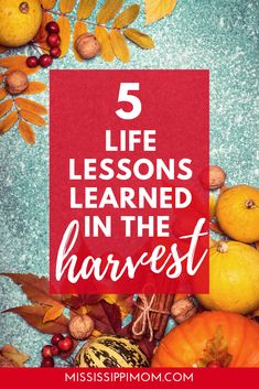 pumpkins, leaves and acorns with the words 5 life lessons learned in the harvest