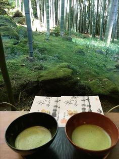 two bowls are sitting on a table in front of some bamboo trees and the ground is covered with green moss