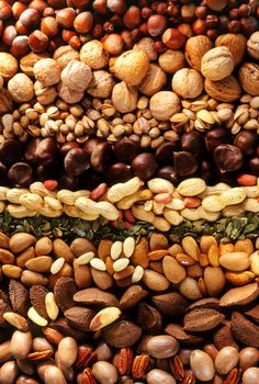 many nuts are grouped together in this image