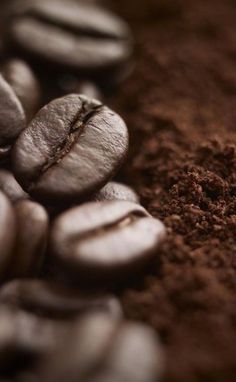 some coffee beans and ground on a table