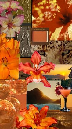 a collage of flowers and pictures with oranges, pinks, and yellow