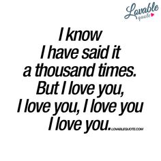 a quote that reads i know i have said it a thousand times but i love you,