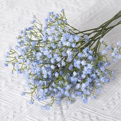 some blue flowers are laying on a white tablecloth and it looks like they have been picked from the ground