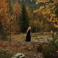 a woman standing in the middle of a forest surrounded by fall colored trees and leaves