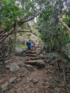 two people are walking up some stairs in the woods with rocks and trees on either side