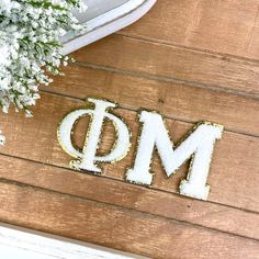 the letters m and d are made out of snow on a wooden floor next to a potted plant