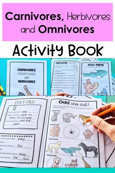 an activity book for children to learn how to read the animals and other things that are in