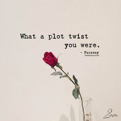 a single red rose in a vase with a quote on the wall behind it that says, what a plot twist you were