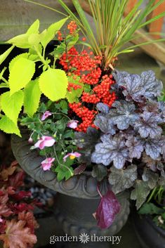 colorful flowers and plants in pots on the ground