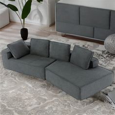 a gray couch sitting on top of a rug in a living room next to a plant