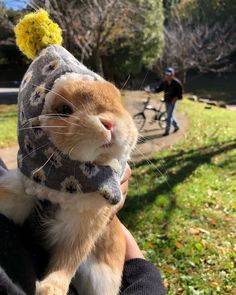 a person holding a cat wearing a hat and scarf on it's head in the park