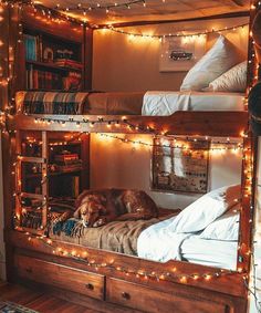 a dog laying on top of a wooden bunk bed in a room with lights strung around it