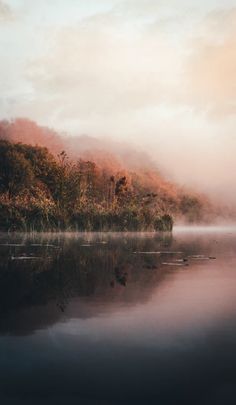 a body of water surrounded by trees and fog