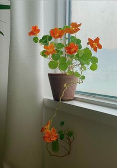 a potted plant sitting on top of a window sill next to a window