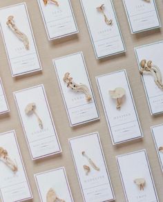 many different types of mushrooms are on the table with white cards in front of them