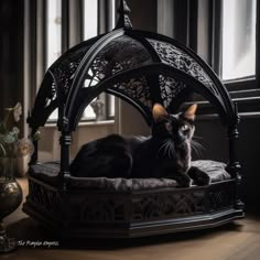 a black cat sitting on top of a wooden bed