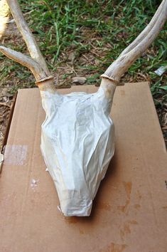 a deer's head is wrapped in plastic and sitting on top of a cardboard box