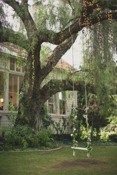 a tree that is next to a house with a swing in the grass near it