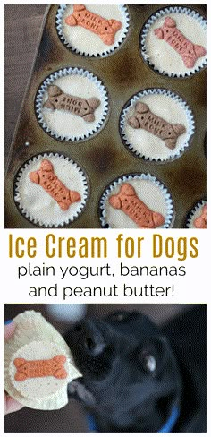 an ice cream for dogs recipe is shown in the bottom photo and on the top right there are cupcakes with peanut butter