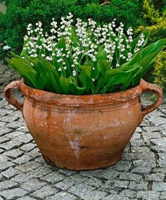 a planter filled with white flowers sitting on top of a cobblestone road