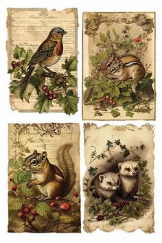 four different pictures of animals and plants on old paper with berries, berries, leaves