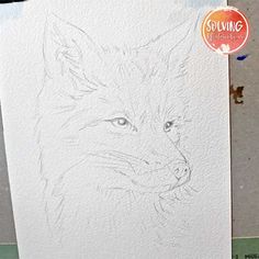 a white paper with a drawing of a fox on it